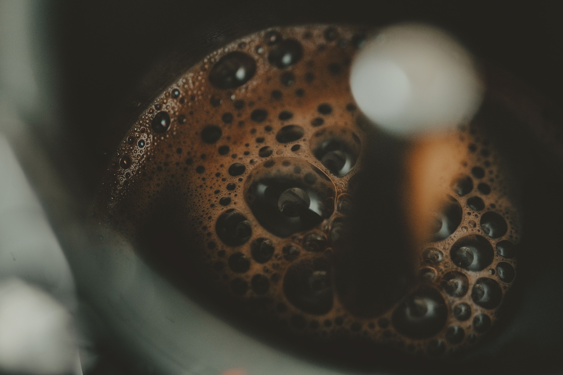 5 Most Expensive Coffee in the World